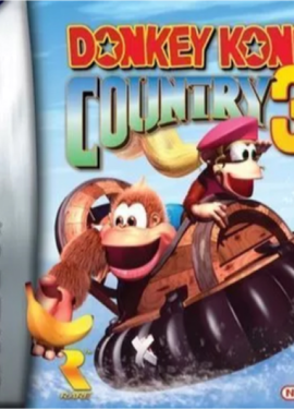 Donkey kong country 3